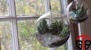 Just How Terrarium Building Is an Exercise That Will Positively Influence Your Mental Health And Wellness