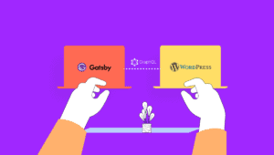 WordPress going headless for Modern website development