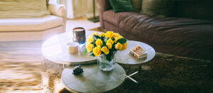 List Of Flowers That Are Pet Friendly 
