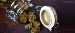 CBD flowers - Its benefits and uses