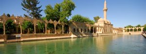 The Best Time to Visit Jaipur