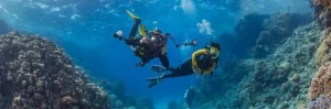 Snorkellers exploring the vibrant coral reefs of Ningaloo Reef in Western Australia